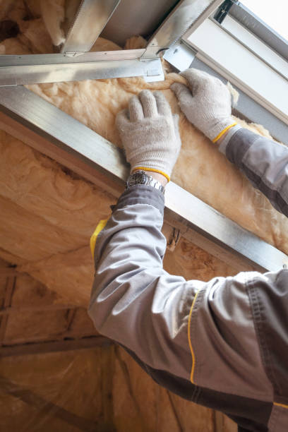 Best Insulation Removal  in Independence, OH