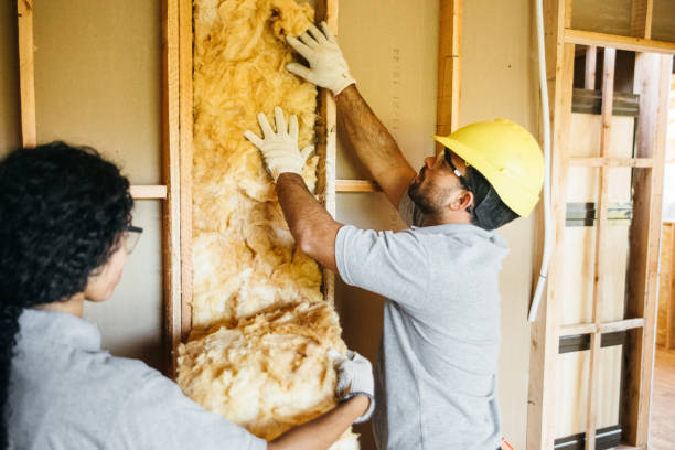 Best Commercial Insulation Services  in Independence, OH